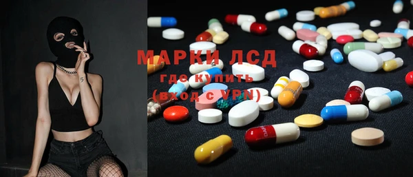 прущие грибы Алзамай