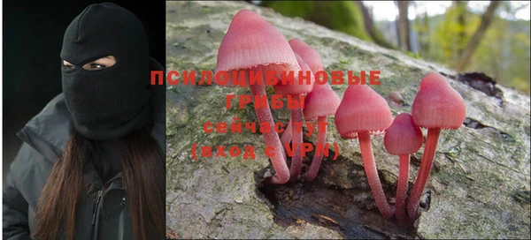 стаф Приозерск