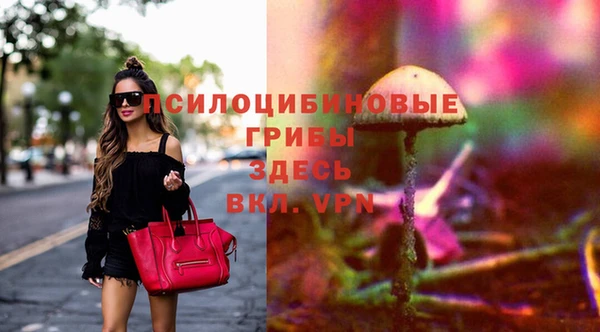 прущие грибы Алзамай