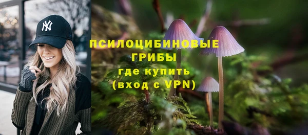 прущие грибы Алзамай