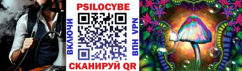 Галлюциногенные грибы Psilocybine cubensis  Боготол 