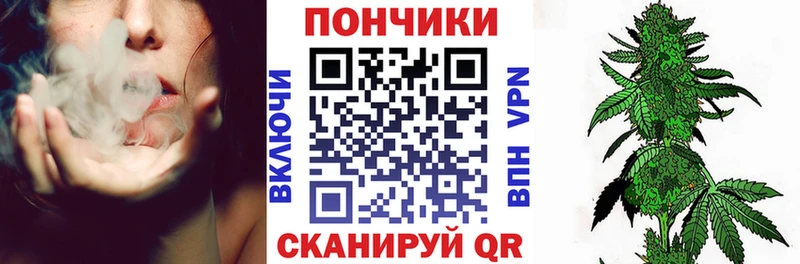 купить  цена  Боготол  Канабис SATIVA & INDICA 